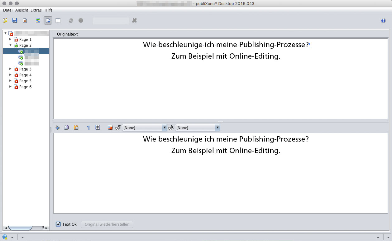 Der Offlinemodus beim Online-Editing-Tool von PubliXone